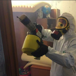 Уничтожение клопов в квартире. Благодарный